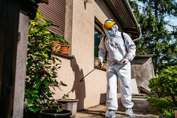 Best Local Pest Control Services  in Rosedale, LA