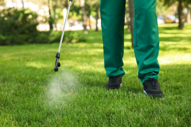 Best Best Pest Control Companies  in Rosedale, LA