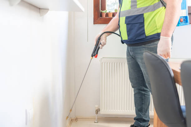 Best Termite Control Services  in Rosedale, LA