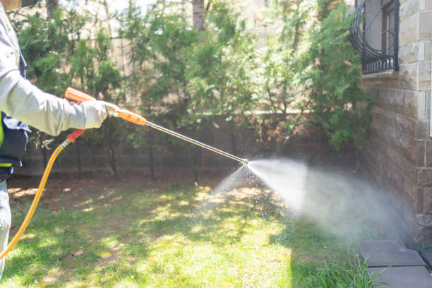 Best Pest Inspection Near Me  in Rosedale, LA