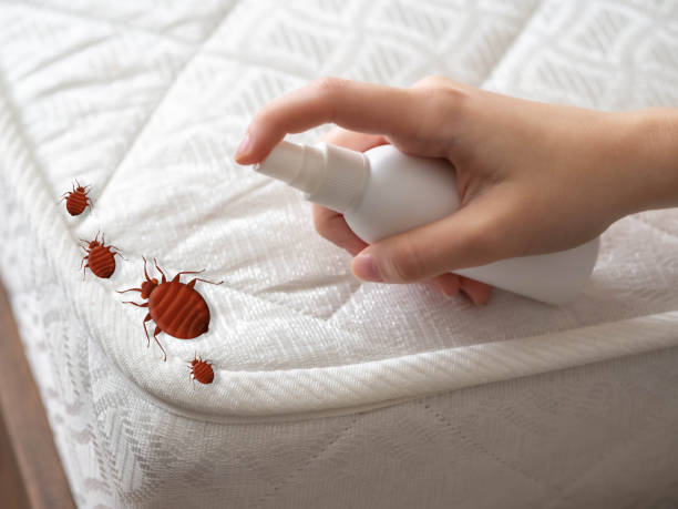 Best Pest Prevention Services  in Rosedale, LA